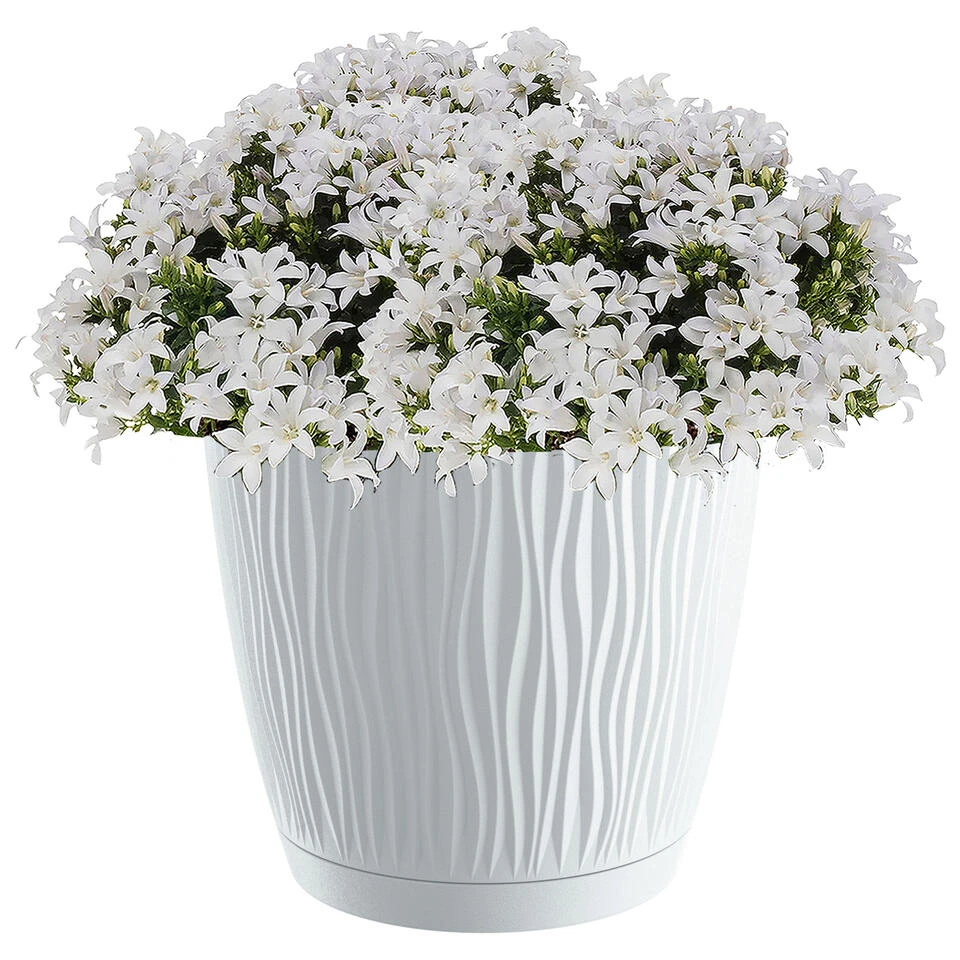 Prosperplast Plantenpot/bloempot - Kunststof - Wit - D24 X H22,5 Cm 4 Prosperplast Plantenpot/bloempot - Kunststof - Wit - D24 X H22,5 Cm - Afbeelding 2