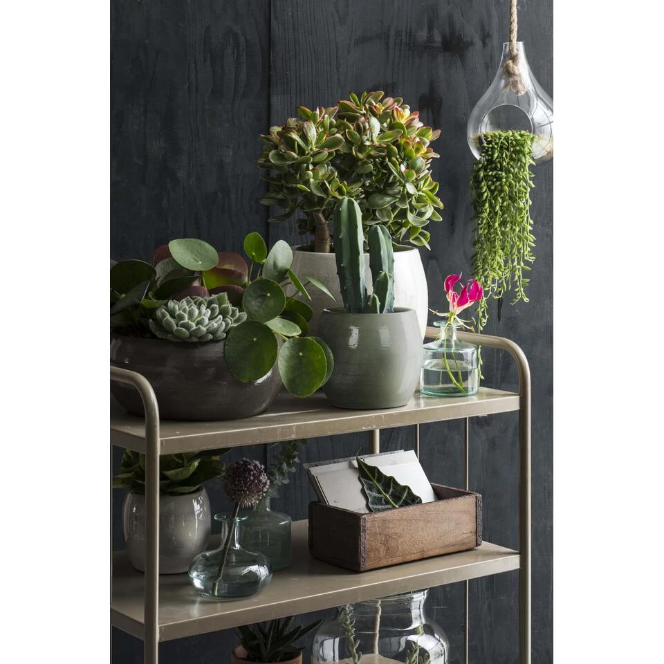 Mica Decorations Lester Bloempot Ø33 Cm Groen 6 Mica Decorations Lester Bloempot Ø33 Cm Groen - Afbeelding 4