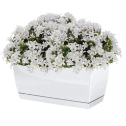 Prosperplast Plantenpot - Kunststof - Parel Wit - 24 X 12 X 11 Cm -Groene Hoek 092b8e6d08c545fa83d6564babdea607