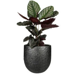 Steege Plantenpot - Antiek Look - Keramiek - Zwart - D28 X H25 Cm 5 Steege Plantenpot - Antiek Look - Keramiek - Zwart - D28 X H25 Cm -Groene Hoek 0ac19d8458a94eafb34d7fc5c30198f5