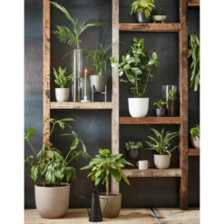 Mica Decorations Plantenpot - Taupe Bruin - Keramiek - 31 X 28 Cm 9 Mica Decorations Plantenpot - Taupe Bruin - Keramiek - 31 X 28 Cm -Groene Hoek 0c6c6f30a883484d936ecc0bd977b72e