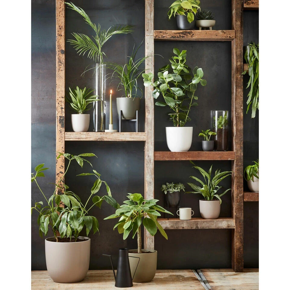 Mica Decorations Plantenpot - Taupe Bruin - Keramiek - 31 X 28 Cm 6 Mica Decorations Plantenpot - Taupe Bruin - Keramiek - 31 X 28 Cm - Afbeelding 4