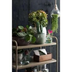 Mica Decorations Lester Bloempot Ø33 Cm Groen 7 Mica Decorations Lester Bloempot Ø33 Cm Groen -Groene Hoek 0ed1d6a3b5aa4299bf0b00b97aab7279