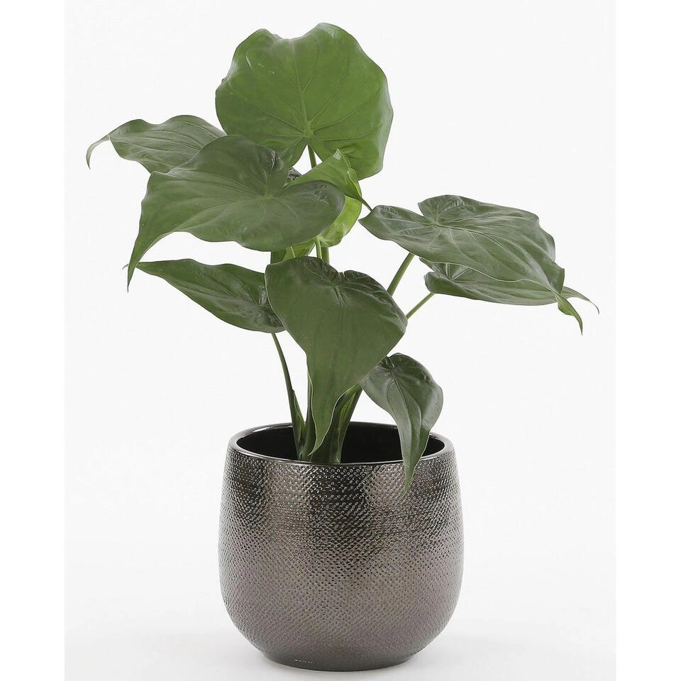 Mica Decorations Plantenpot - Bronskleurig - Geribbeld - 19 X 21 Cm 4 Mica Decorations Plantenpot - Bronskleurig - Geribbeld - 19 X 21 Cm - Afbeelding 2