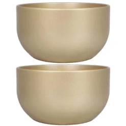Floran Bloempot - Schaal - Parelgoud - Keramiek - Binnen - 26 X 14 Cm -Groene Hoek 1000005346 0102