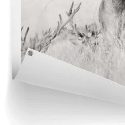 Tuinposter Trots Hert 120x80 Cm Zwart-Wit -Groene Hoek 1000006178 0102