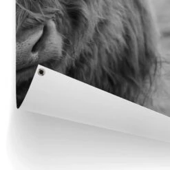 Tuinposter Schotse Hooglander 120x80 Cm Zwart-Wit 8 Tuinposter Schotse Hooglander 120x80 Cm Zwart-Wit -Groene Hoek 1000006179 0102