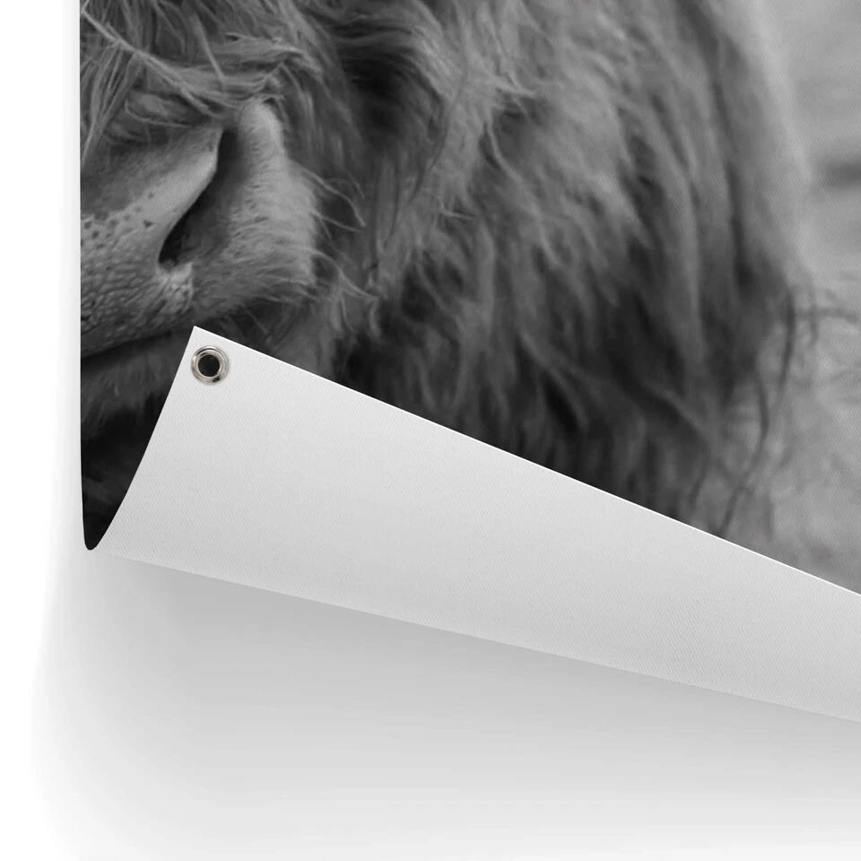 Tuinposter Schotse Hooglander 120x80 Cm Zwart-Wit 5 Tuinposter Schotse Hooglander 120x80 Cm Zwart-Wit - Afbeelding 3