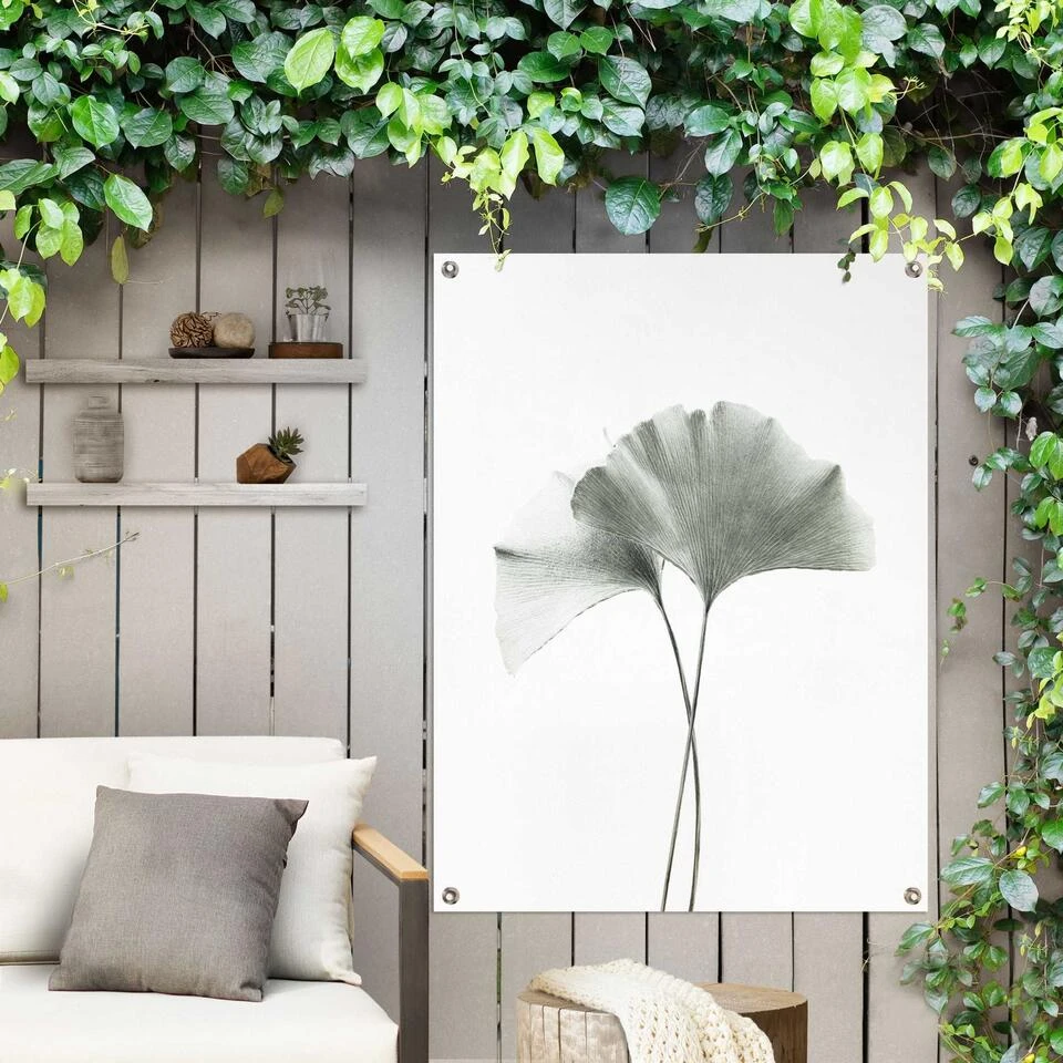 Tuinposter Ginkgo Blad 80x60 Cm Groen 4 Tuinposter Ginkgo Blad 80x60 Cm Groen - Afbeelding 2