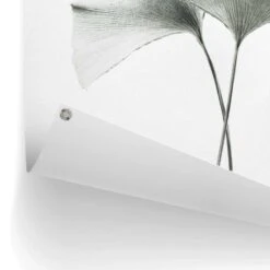 Tuinposter Ginkgo Blad 80x60 Cm Groen 8 Tuinposter Ginkgo Blad 80x60 Cm Groen -Groene Hoek 1000006187 0102