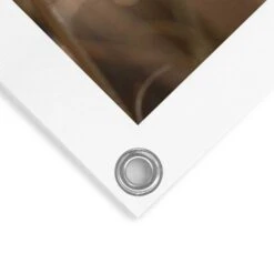 Tuinposter Pampas 80x60 Cm Beige -Groene Hoek 1000006193 0103