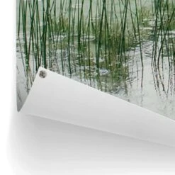 Tuinposter Steiger Aan De Rand Van Het Meer 100x140 Cm Groen -Groene Hoek 1000006195 0102