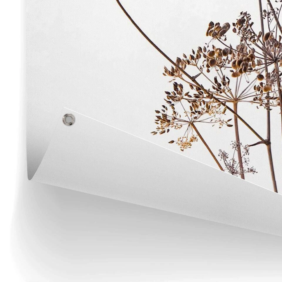 Tuinposter Berenklauw 120x80 Cm Beige 5 Tuinposter Berenklauw 120x80 Cm Beige - Afbeelding 3