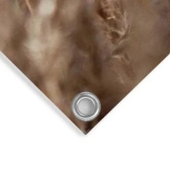 Tuinposter Helmgras 120x80 Cm Beige -Groene Hoek 1000006201 0103