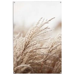 Tuinposter Helmgras 120x80 Cm Beige