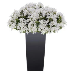 Prosperplast Plantenpot Urbi - Anctraciet - Vierkant - 19 X 37 Cm -Groene Hoek 1000013305 0101