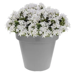 Merkloos Bloempot - Lichtgrijs - Rond - Kunststof - 50 Cm -Groene Hoek 1000013312 0101