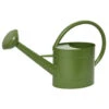 Decoris Gieter - Groen - Zink - 5 L -Groene Hoek 1000014611