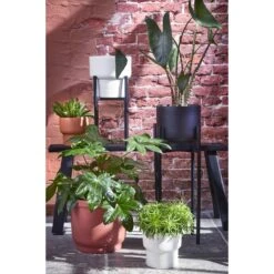 Mica Decorations Ascot Plantenstandaard XL - H49,5 Cm - Zwart -Groene Hoek 1000038577 0103