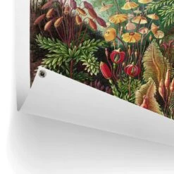 Tuinposter Sea Flora 80x60 Cm Groen -Groene Hoek 1000042850 0102