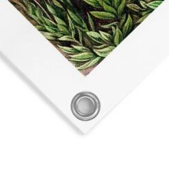 Tuinposter Sea Flora 80x60 Cm Groen -Groene Hoek 1000042850 0103