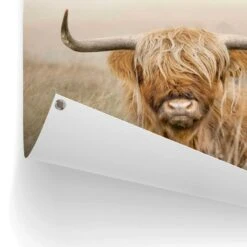 Tuinposter Hooglander 60x80 Cm Beige -Groene Hoek 1000042853 0102