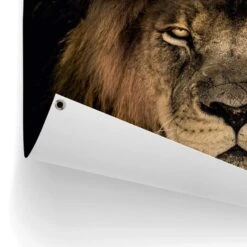 Tuinposter Leeuw 60x80 Cm Bruin -Groene Hoek 1000042859 0102