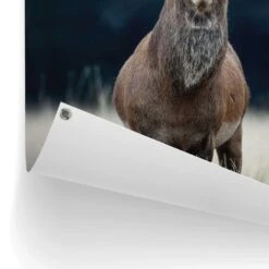 Tuinposter Hert 80x60 Cm Bruin 8 Tuinposter Hert 80x60 Cm Bruin -Groene Hoek 1000042863 0102