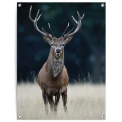 Tuinposter Hert 80x60 Cm Bruin