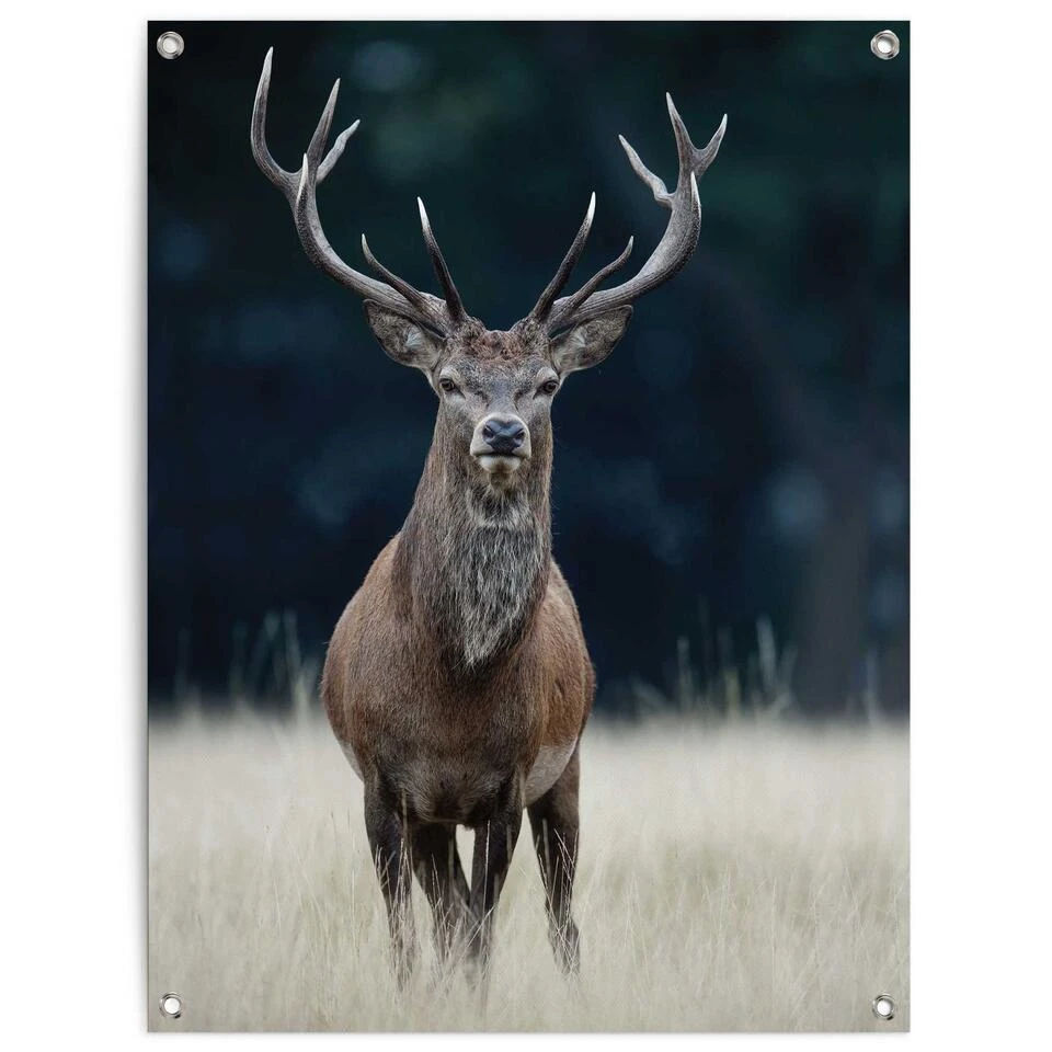 Tuinposter Hert 80x60 Cm Bruin 3 Tuinposter Hert 80x60 Cm Bruin
