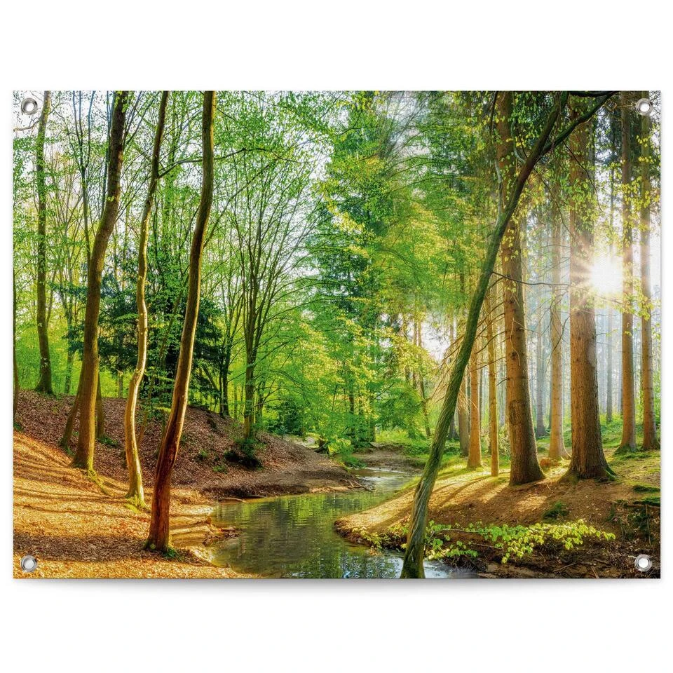 Tuinposter Lentebos 60x80 Cm Groen 3 Tuinposter Lentebos 60x80 Cm Groen
