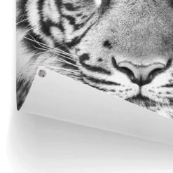 Tuinposter Tijger 80x60 Cm Zwart-Wit -Groene Hoek 1000042870 0102