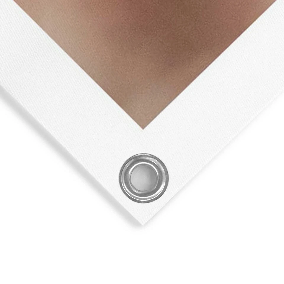 Tuinposter Gedroogde Tak 80x60 Cm Beige 6 Tuinposter Gedroogde Tak 80x60 Cm Beige - Afbeelding 4