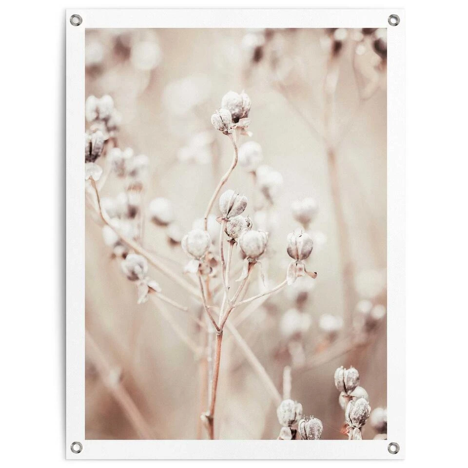 Tuinposter Gedroogde Tak 80x60 Cm Beige 3 Tuinposter Gedroogde Tak 80x60 Cm Beige