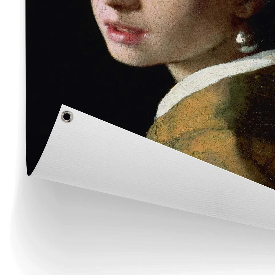 Tuinposter Vermeer Meisje Met De Parel 80x60 Cm Geel 5 Tuinposter Vermeer Meisje Met De Parel 80x60 Cm Geel - Afbeelding 3