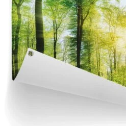 Tuinposter Zomer Bos 60x80 Cm Groen 8 Tuinposter Zomer Bos 60x80 Cm Groen -Groene Hoek 1000042878 0102