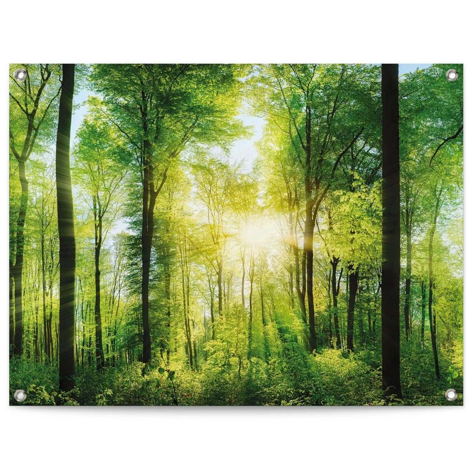 Tuinposter Zomer Bos 60x80 Cm Groen 3 Tuinposter Zomer Bos 60x80 Cm Groen