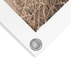 Tuinposter Kraanvogels 80x60 Cm Beige 9 Tuinposter Kraanvogels 80x60 Cm Beige -Groene Hoek 1000042879 0103