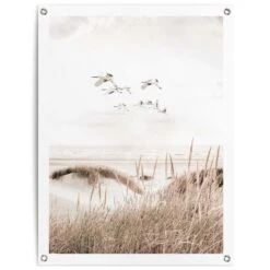 Tuinposter Kraanvogels 80x60 Cm Beige