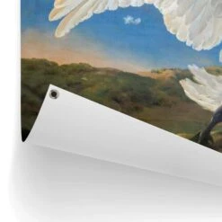 Tuinposter Asselijn De Bedreigde Zwaan 80x120 Cm Bont 8 Tuinposter Asselijn De Bedreigde Zwaan 80x120 Cm Bont -Groene Hoek 1000042880 0102