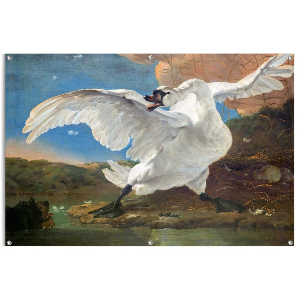 Tuinposter Asselijn De Bedreigde Zwaan 80x120 Cm Bont 3 Tuinposter Asselijn De Bedreigde Zwaan 80x120 Cm Bont
