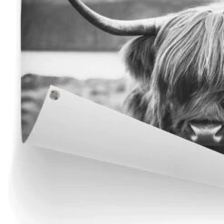 Tuinposter Schotse Hooglander 60x80 Cm Zwart-Wit -Groene Hoek 1000042882 0102