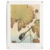 Tuinposter Ohara Koson Kwikstaart Op Lotusplant 80x60 Cm Bruin -Groene Hoek 1000042887