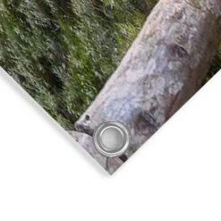 Tuinposter Morgenrood 80x120 Cm Blauw -Groene Hoek 1000042890 0103