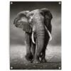 Tuinposter Wandelende Olifant 80x60 Cm Zwart 1 Tuinposter Wandelende Olifant 80x60 Cm Zwart -Groene Hoek 1000042896