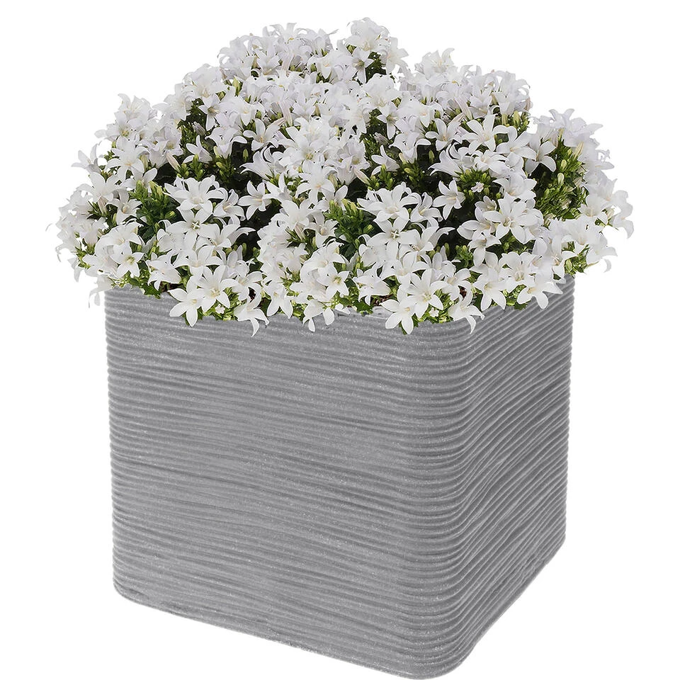 Pro Garden Bloempot Geribbeld Vierkant 38.5 X 38.5 X 33.5cm Lichtgrijs 4 Pro Garden Bloempot Geribbeld Vierkant 38.5 X 38.5 X 33.5cm Lichtgrijs - Afbeelding 2
