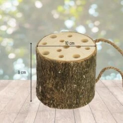 Orange85 Insectenhotel Bijenhotel Boomstam 10x9 Cm Hout -Groene Hoek 1000049600 0110