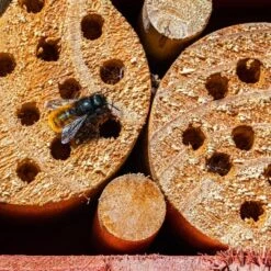 Orange85 Insectenhotel Bijenhotel Boomstam 10x9 Cm Hout -Groene Hoek 1000049600 0111