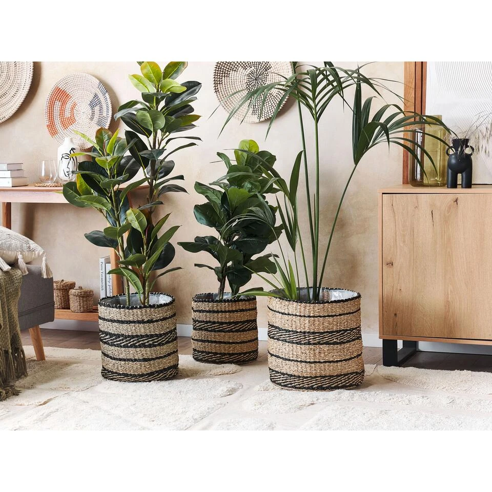 Beliani Bloempot Voor Binnen RASBORA - Beige Zeewier 4 Beliani Bloempot Voor Binnen RASBORA - Beige Zeewier - Afbeelding 2