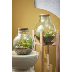 Mica Decorations Ascot Plantenstandaard L38 X B38 X H60 Cm Lichtbruin -Groene Hoek 1000062274 0102